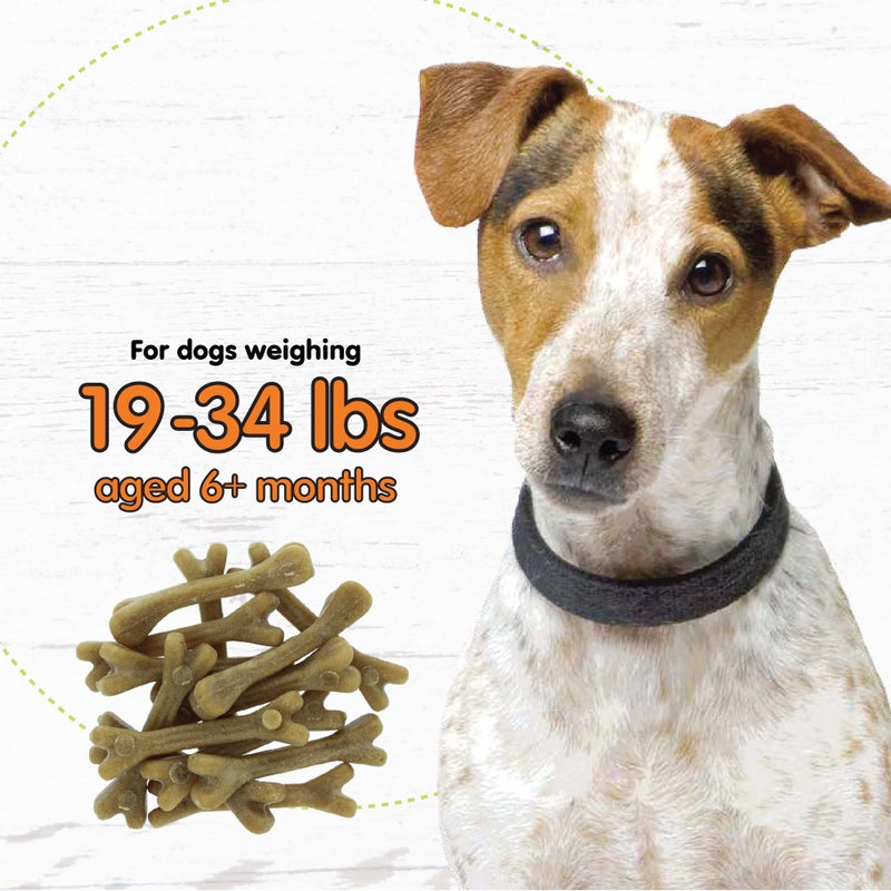 Fido - Super Breath Dental Care Bones for Dogs - 13 Count Small Dog Dental Treats for Small Dogs (Made in USA) - Tasty Dog Dental Chews Help Reduce Plaque, Tartar Buildup, and Freshens Breath - Image 5
